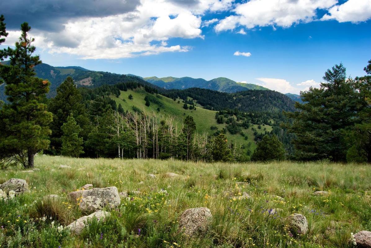 Perfect Cabin, 2 Bedrooms, Fireplace, Midtown, Sleeps 5 Ruidoso Exterior photo